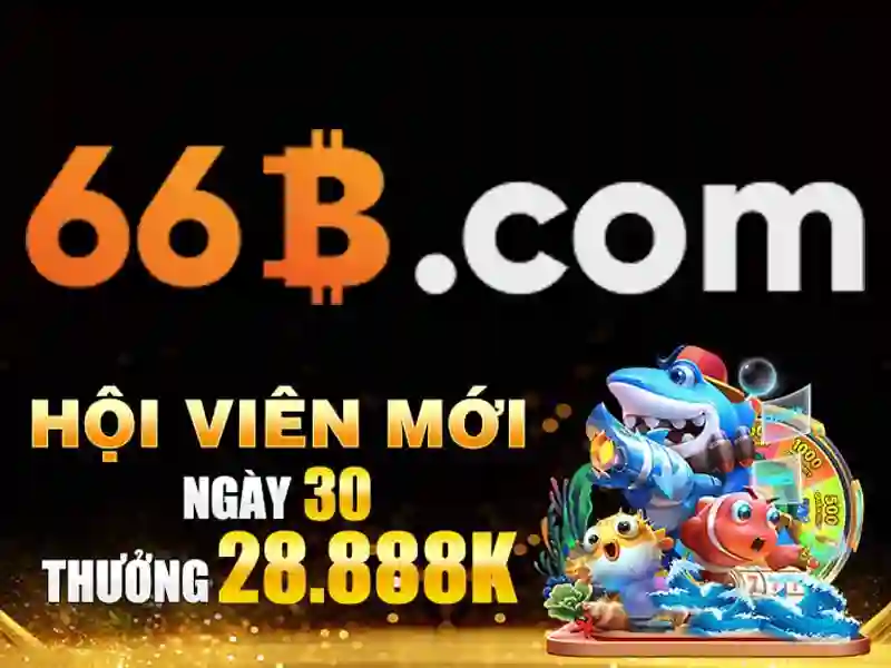 ứng dụng 66B - 66B ứng dụng 66B - 66B