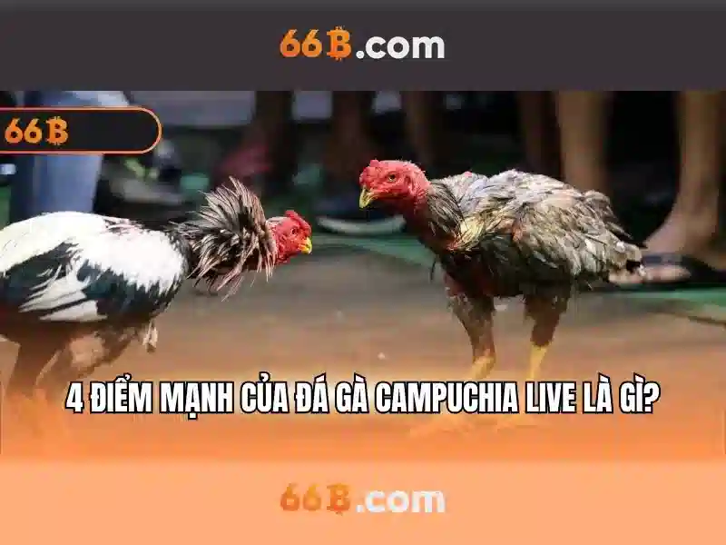 ví điện tử - 66B ví điện tử - 66B