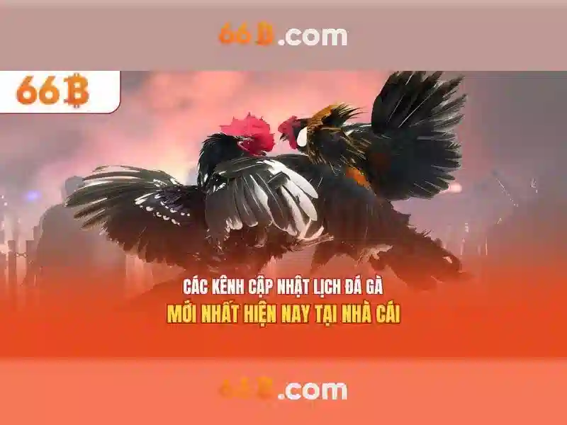 💎top 5 nhà cái lô đề uy tín 9nhacaiuytin💎 💎top 5 nhà cái lô đề uy tín 9nhacaiuytin💎