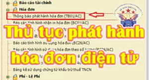 phát hành hóa đơn điện tử